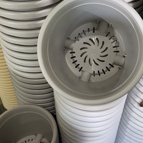 树脂微瑕3号10个带托灰白