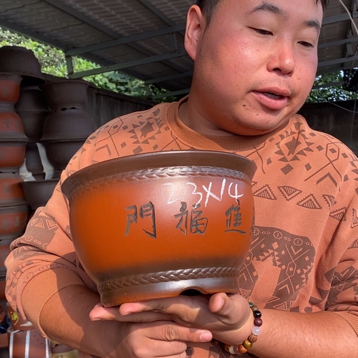 紫砂花盆盆栽花卉苗木种植