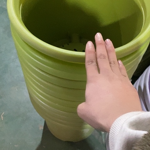 树脂四季1号无托果绿10个