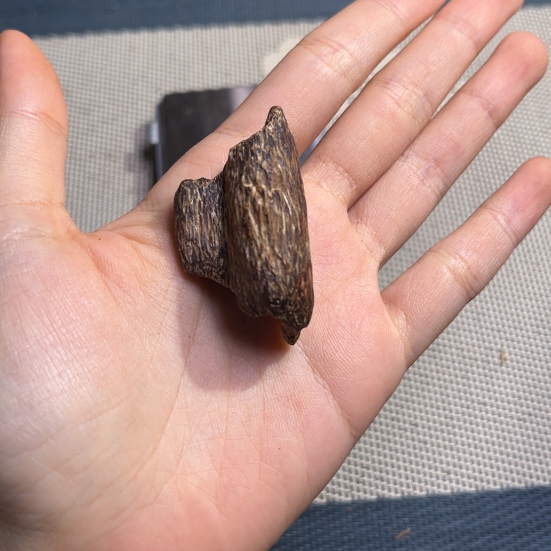 沉香海南尖峰岭淳化瓜子料3克