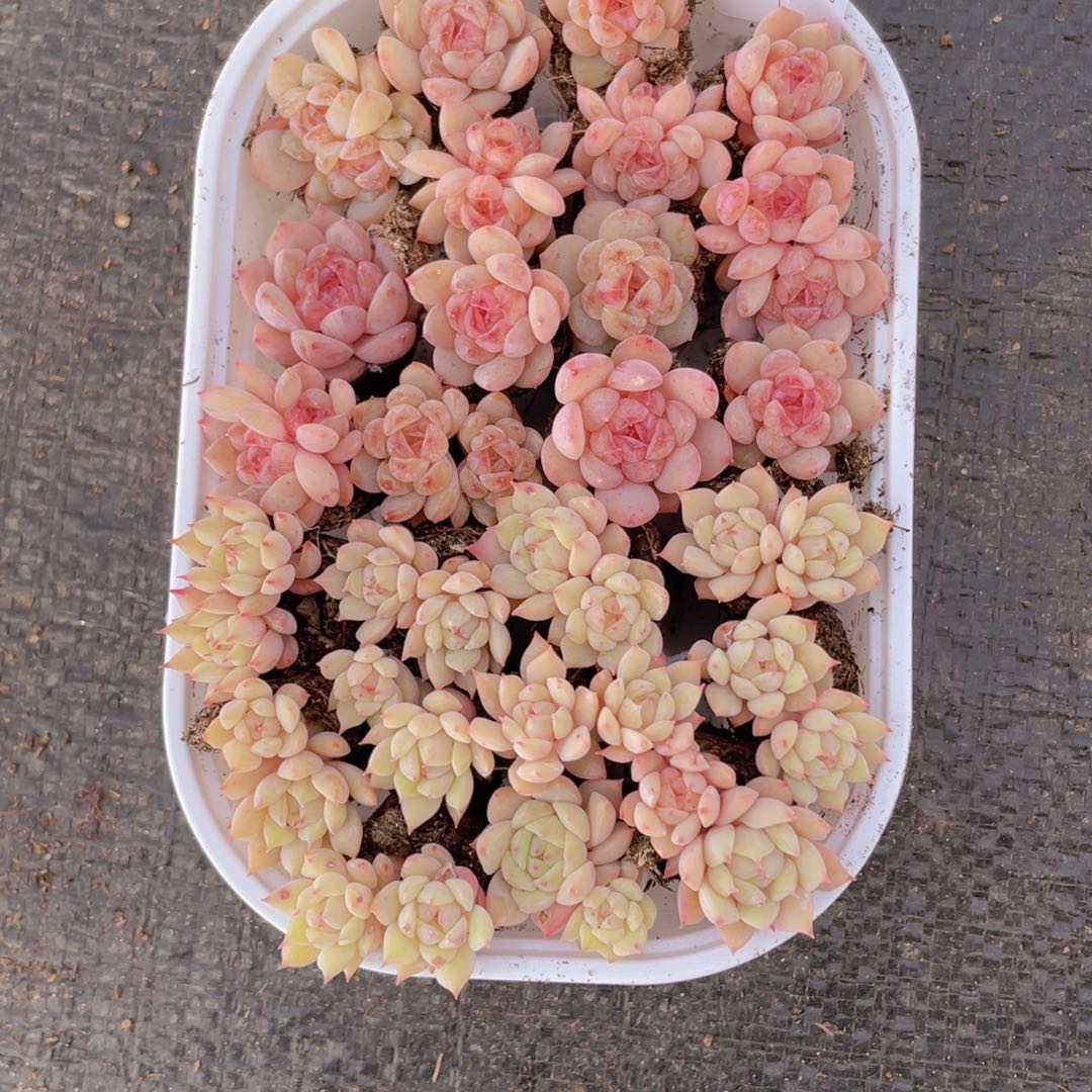 我们的生活方式是什么017