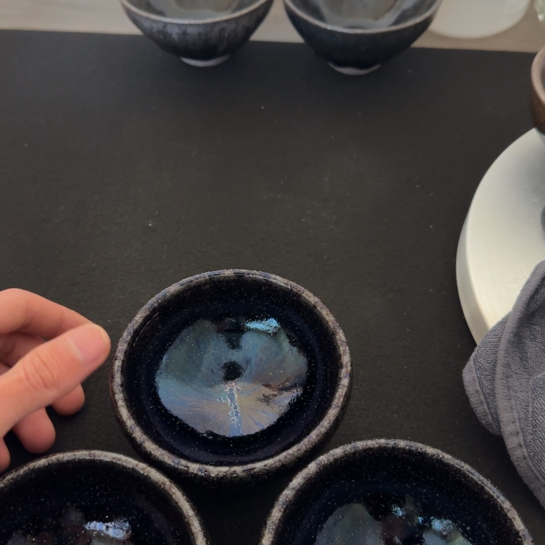 茶盏松*11111111111111111111111