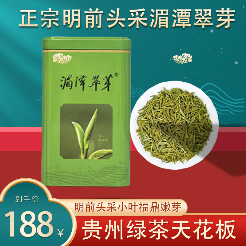 2025新茶头春头采湄潭翠芽小叶福鼎栗香豆香贵州绿茶小叶种精选芽