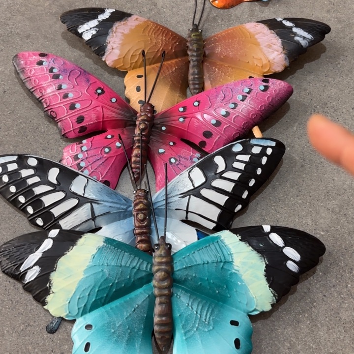 瓷片样品样品样品样品蝴蝶四个