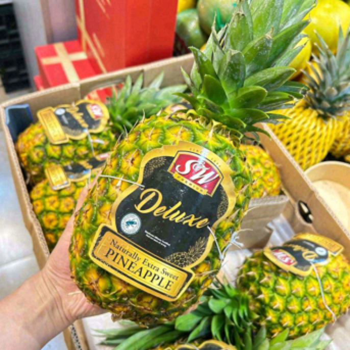 SW蜂蜜凤梨35元一个