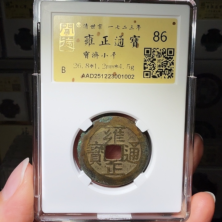 铜瀚海文物A雍正宝济1002