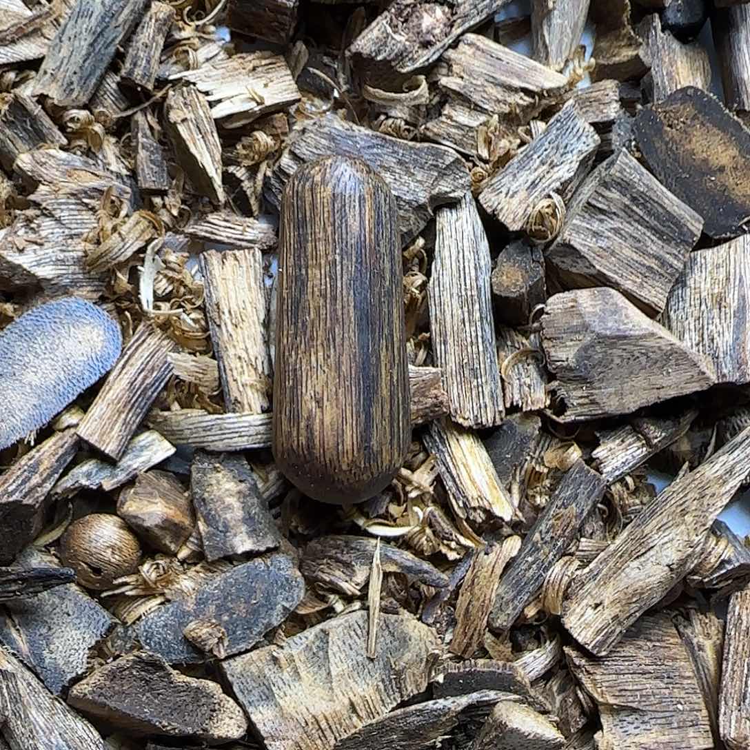 沉香碎屑沉香原汁原味