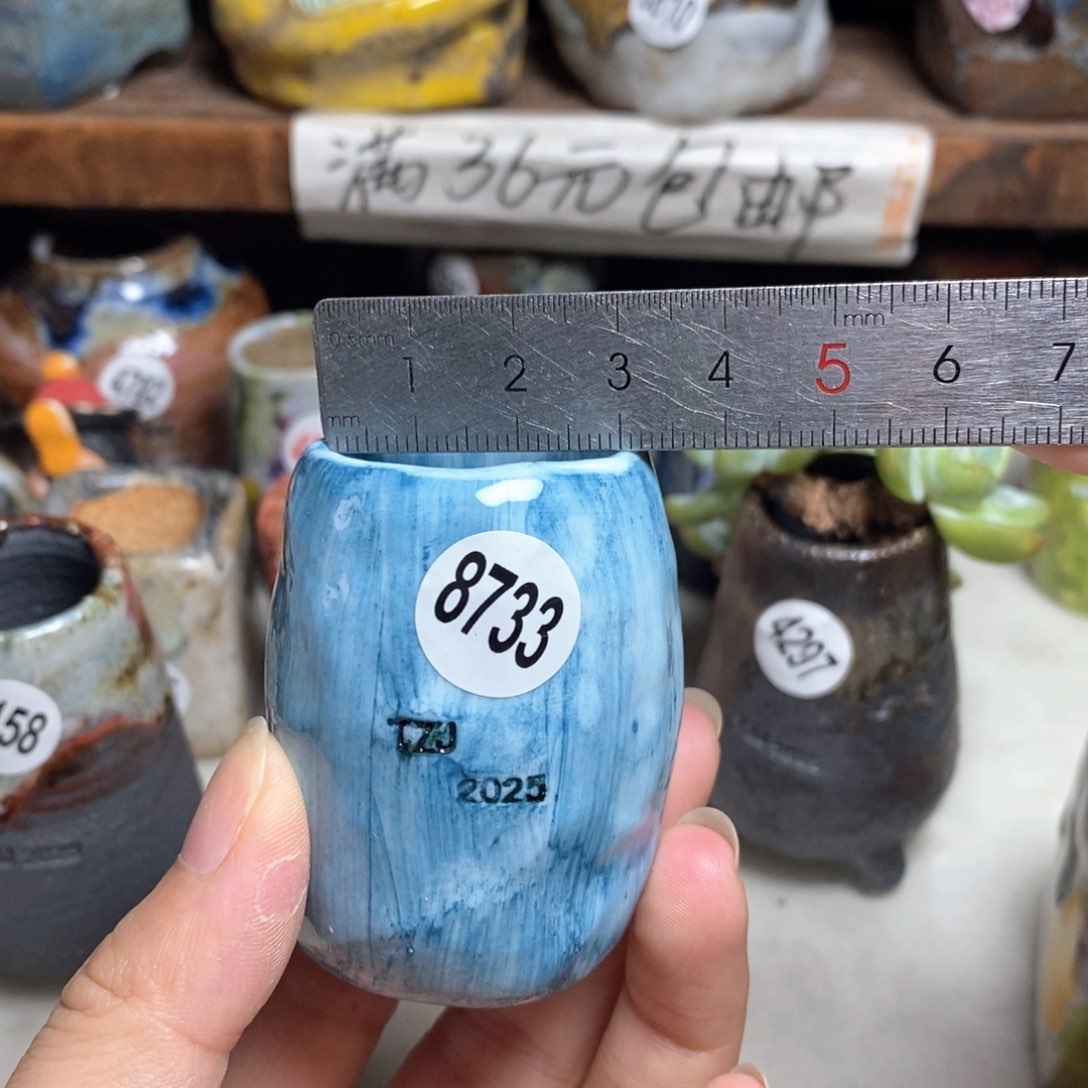 拍3送一个小礼物