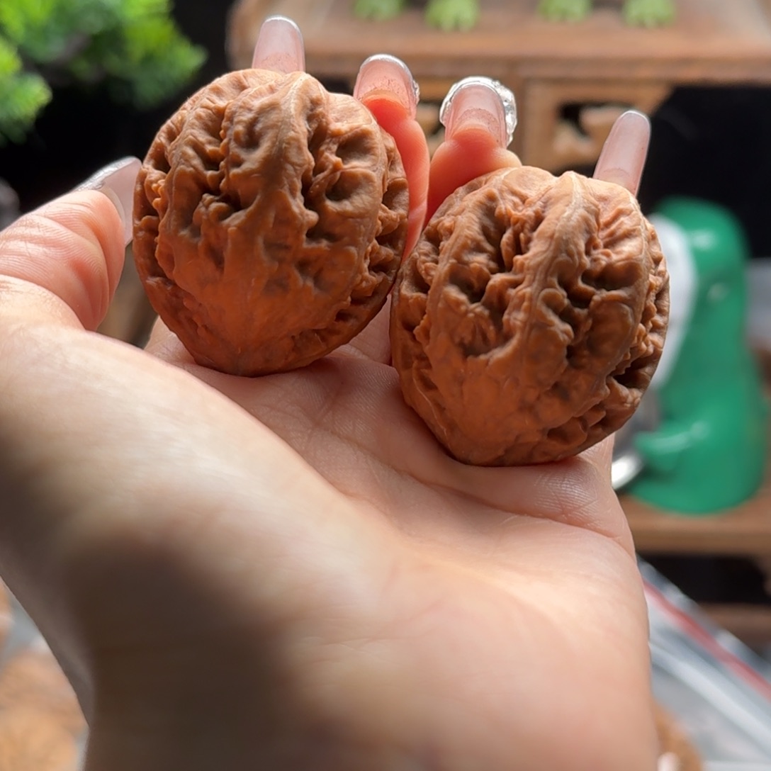 文玩核桃把件楸百核264