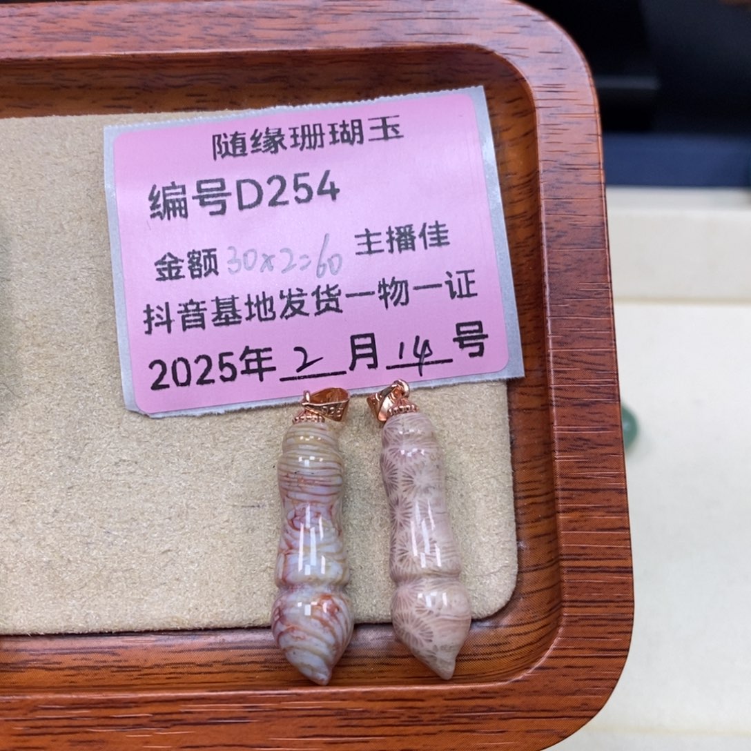 硅化珊瑚（珊瑚玉）D254未镶嵌开**好