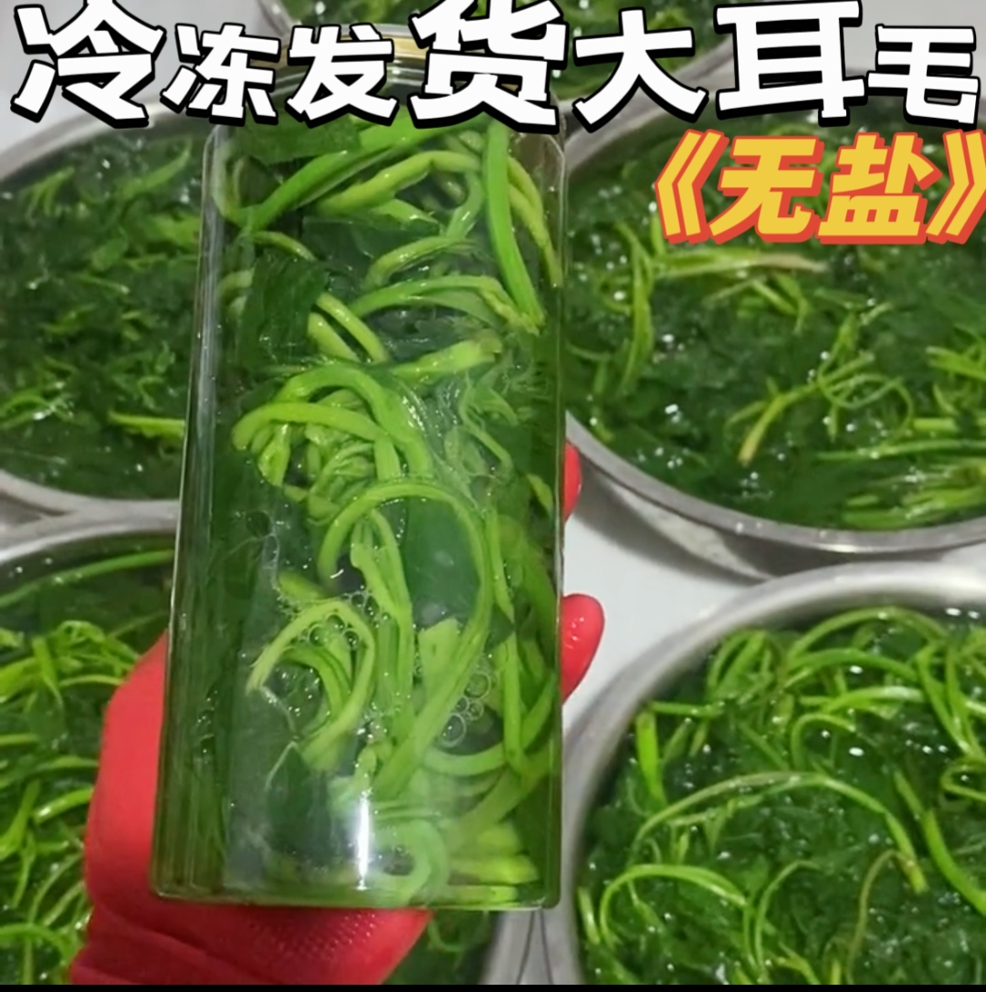 山野菜大耳毛潦水后罐装冷冻发货2斤起多拍更划算赠东北黄豆酱