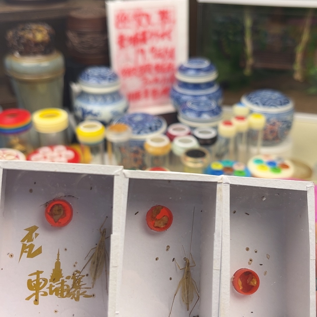 葫***子三条断须柬竹拍拍拍