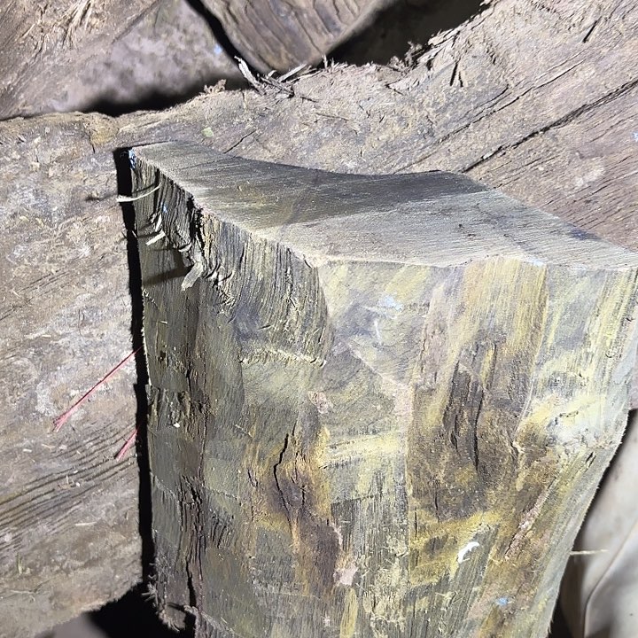 金丝楠啊啊啊啊啊啊