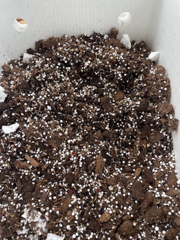 天然兰花专用颗粒营养土疏松透气适合种植发根养花通用