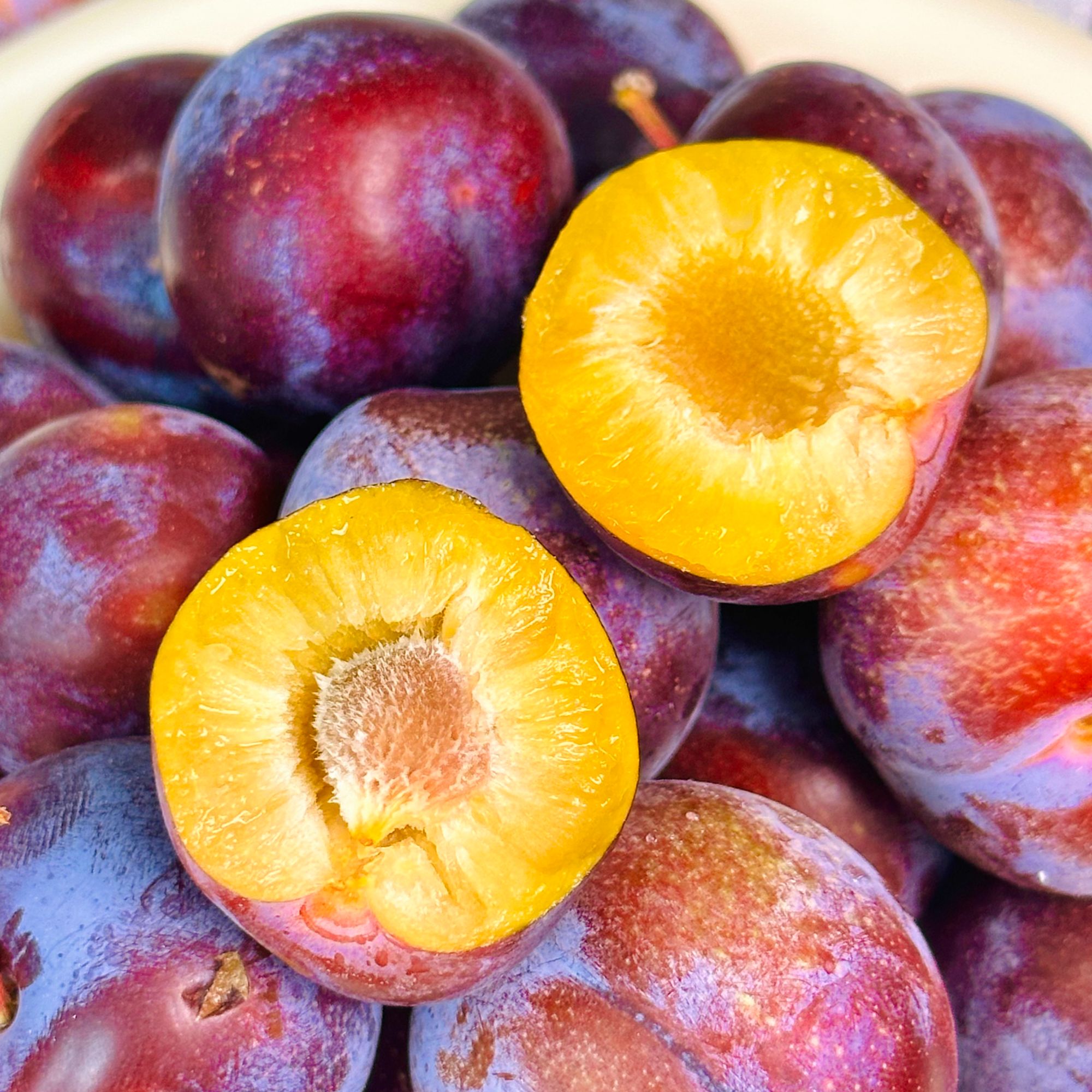 【遇见美物】汶川高山小脆红李 3斤/4.5斤 55-150颗