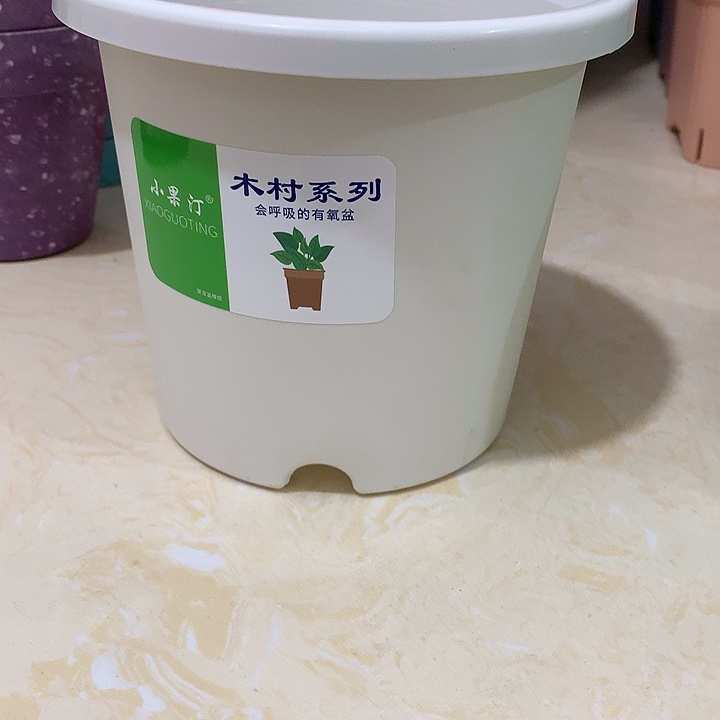 小果汀15口白10个无托