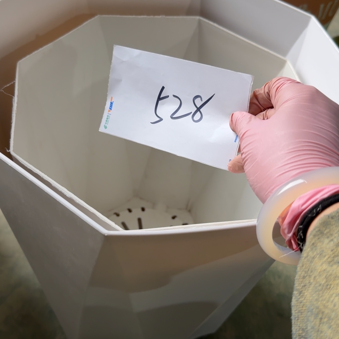 编号528微瑕微瑕