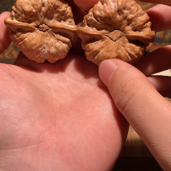 M***.文玩核桃吊坠蛤蟆头D24