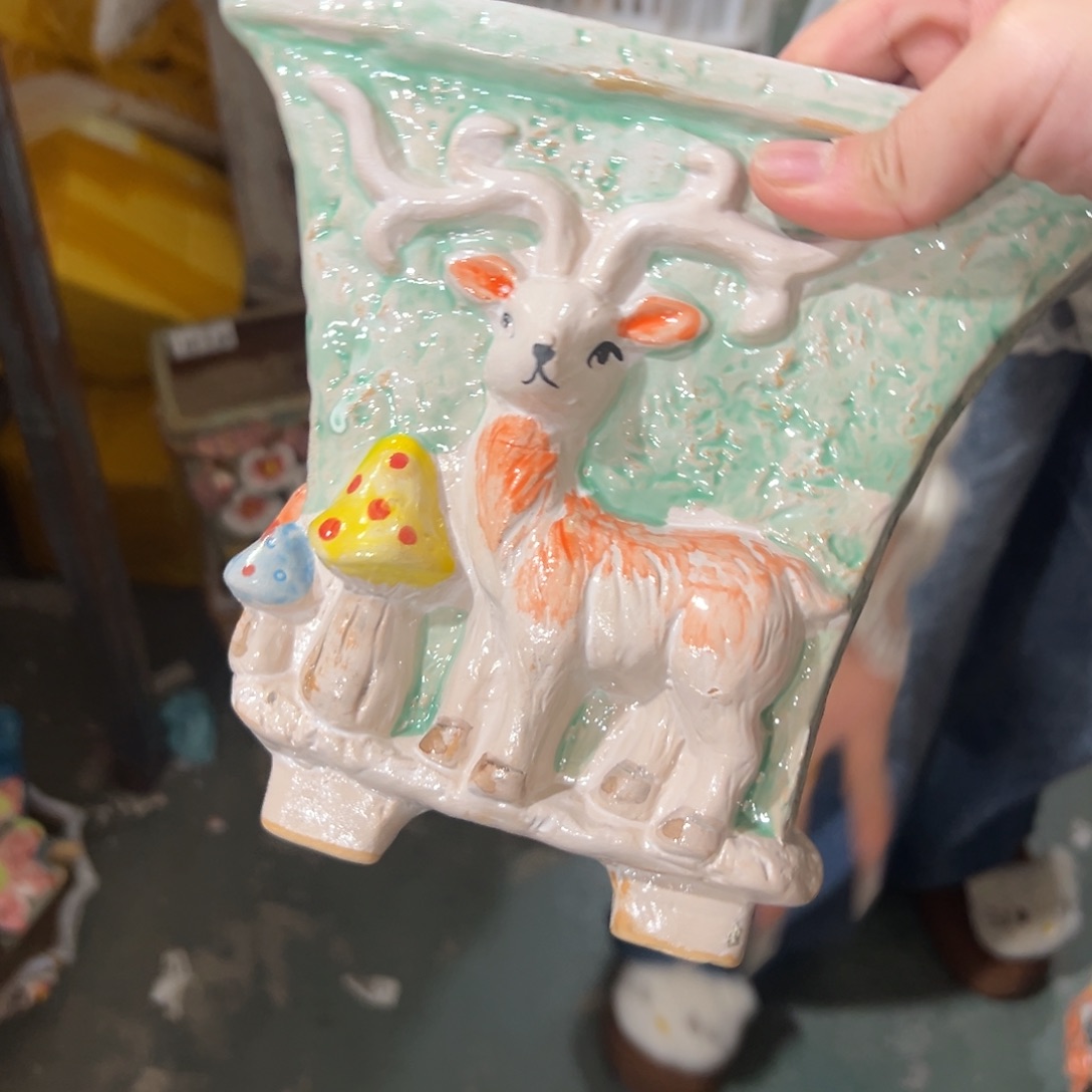 爱退拉黑多肉满20发货