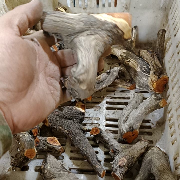 凹****香榧木崖柏随行毛料毛料毛料毛料