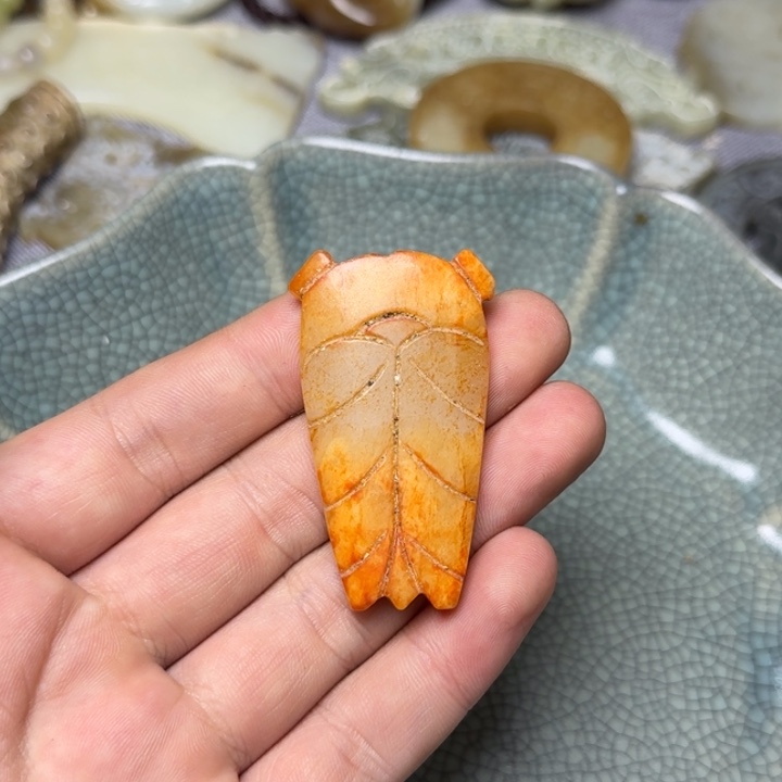 直播放漏专属链接