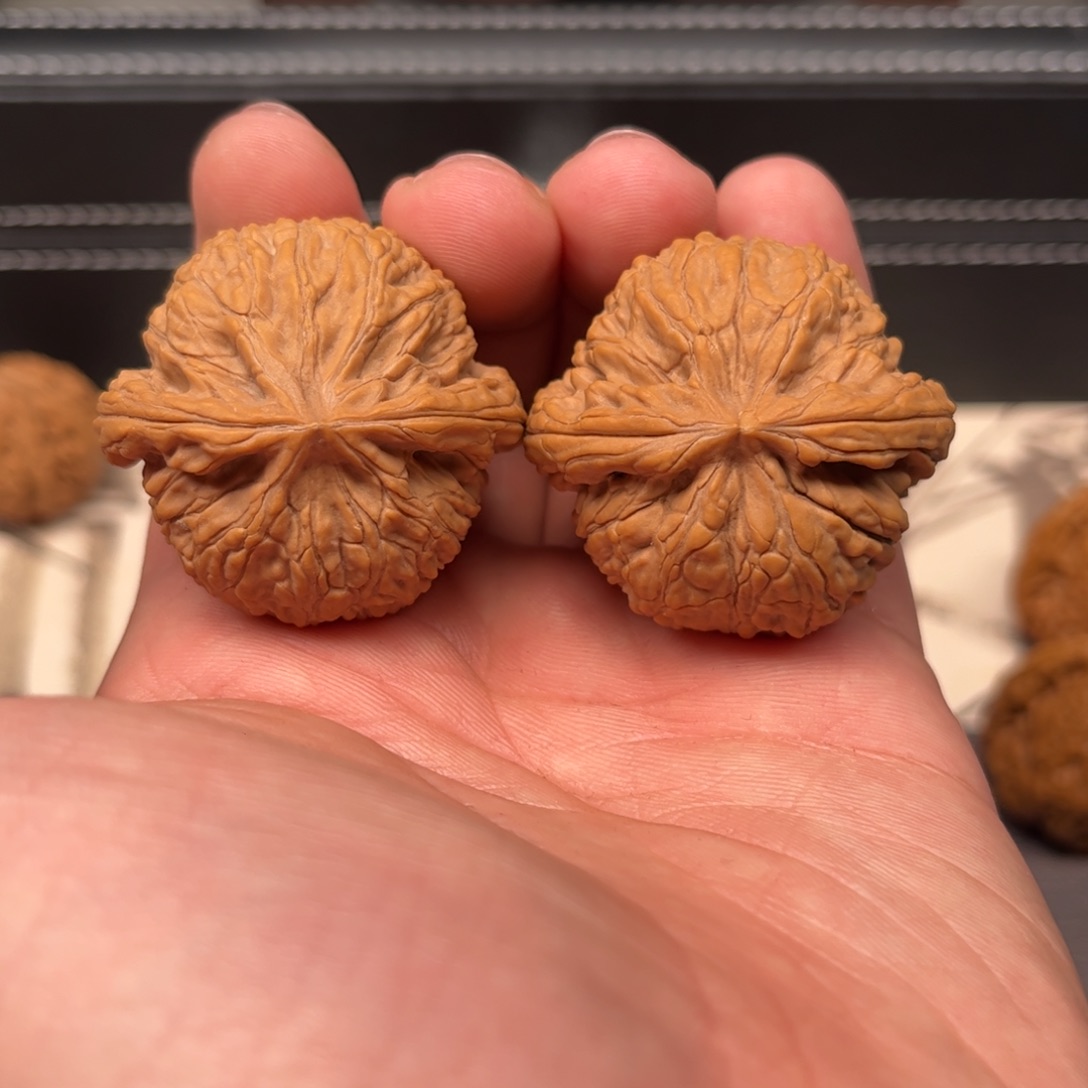 文玩核桃吊坠39蛟龙