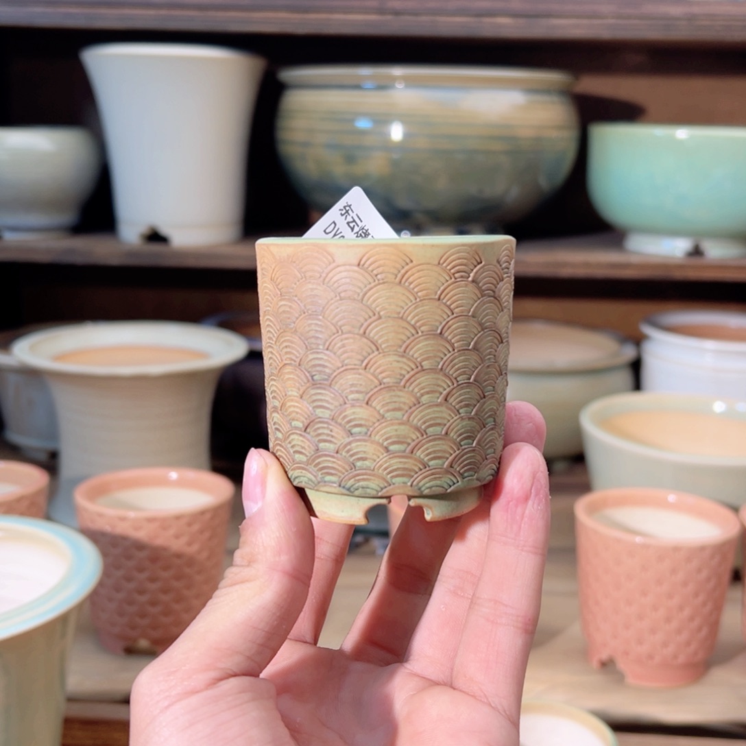 瓷片dy0209-003Xs福利特价