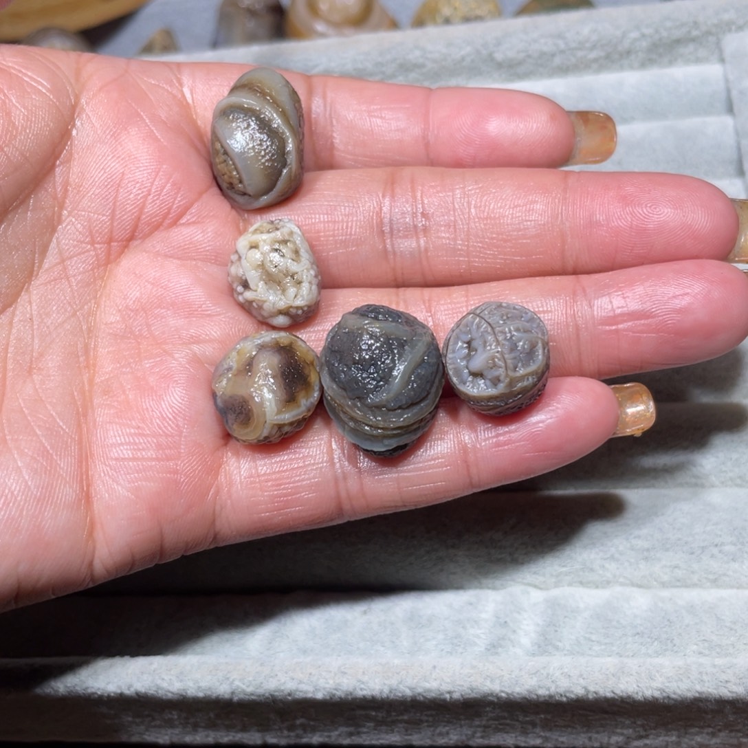 阿拉善鬼火筋脉80/100/150/3