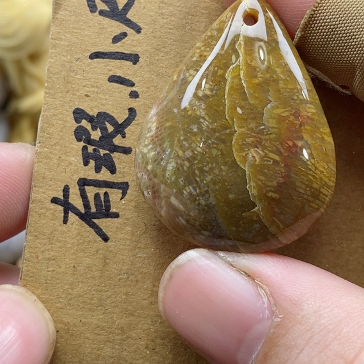 颈饰未镶嵌硅化珊瑚（珊瑚玉）有裂