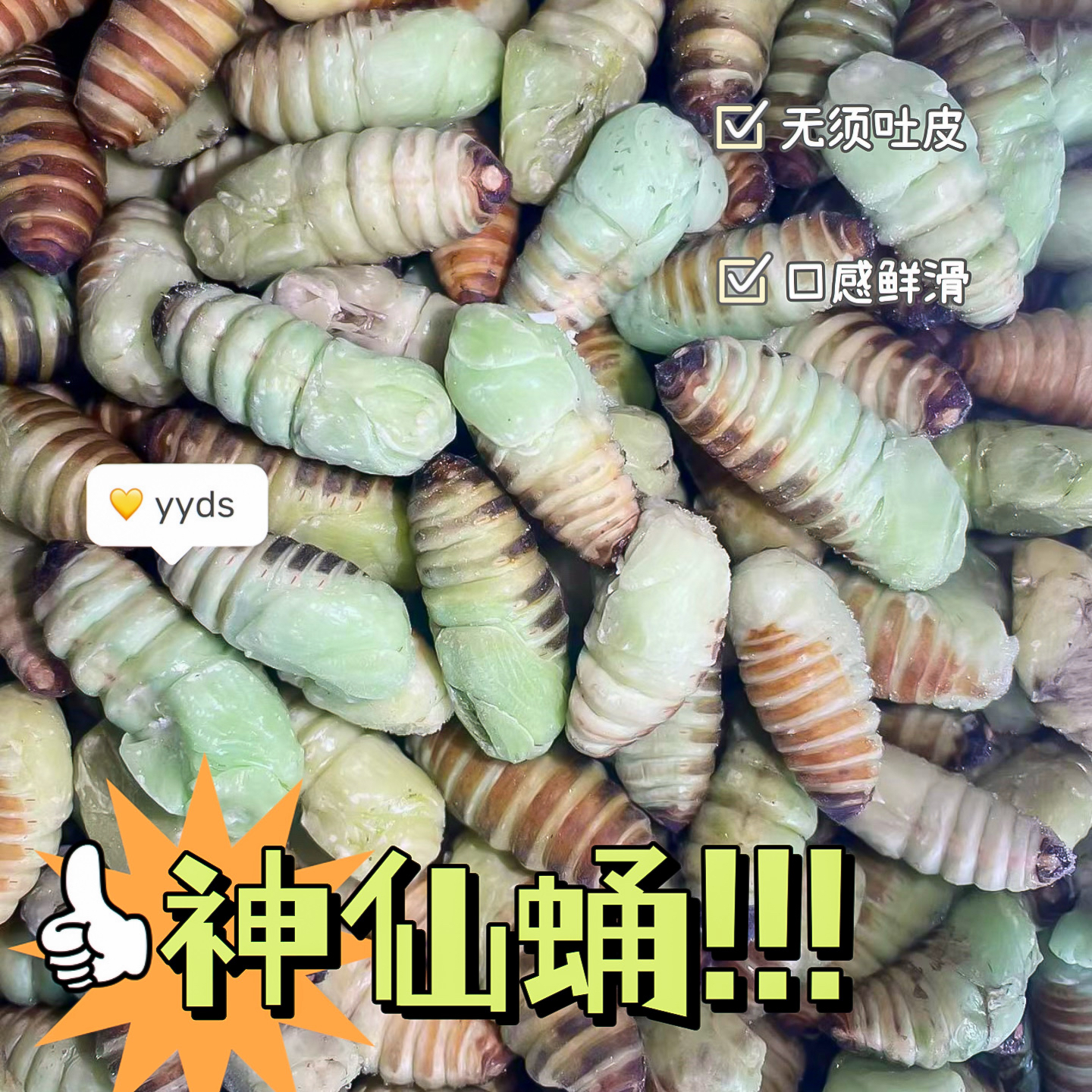 东北速冻嫩绿色神仙蛹新鲜营养顺丰包邮