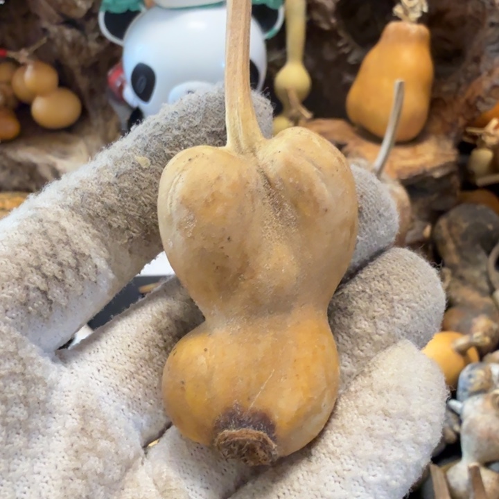 S***t6676666666676777777