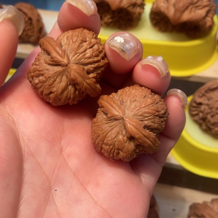 官方网站发布消息显示