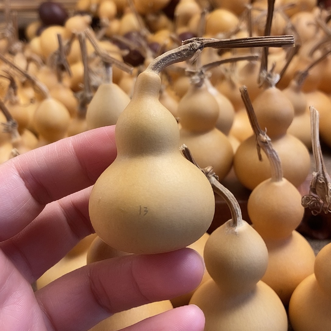 文玩葫芦 完美主义者 慎拍13
