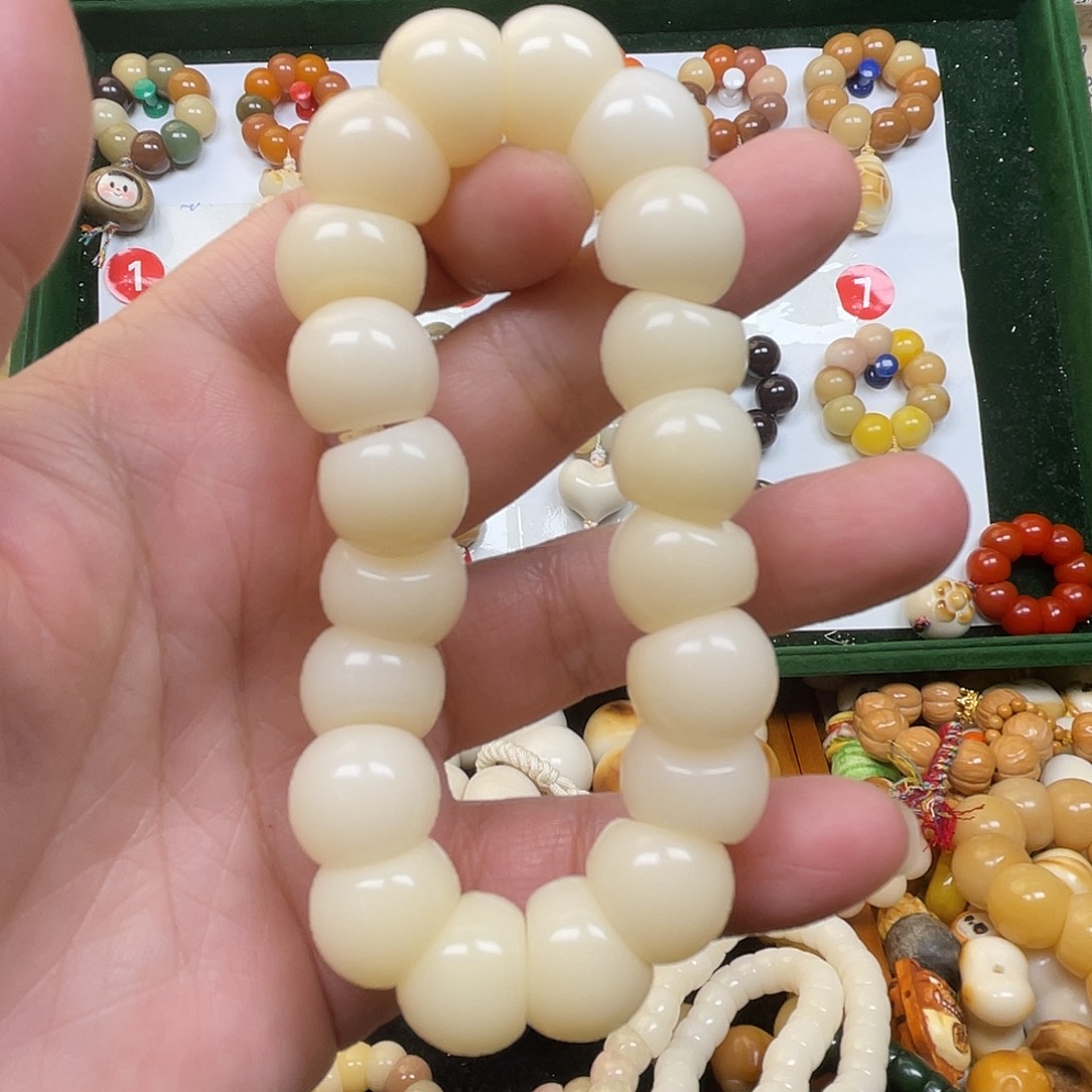 把件菩提根/象牙果