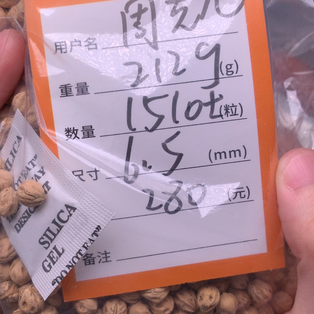 周***儿热振柏香脖挂散籽