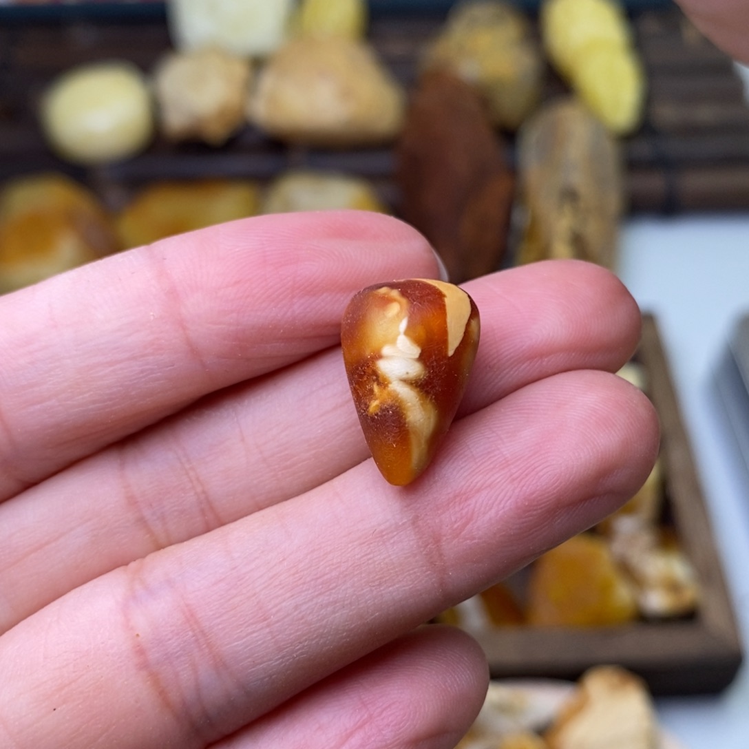 定制琥珀天然蜜蜡乌料