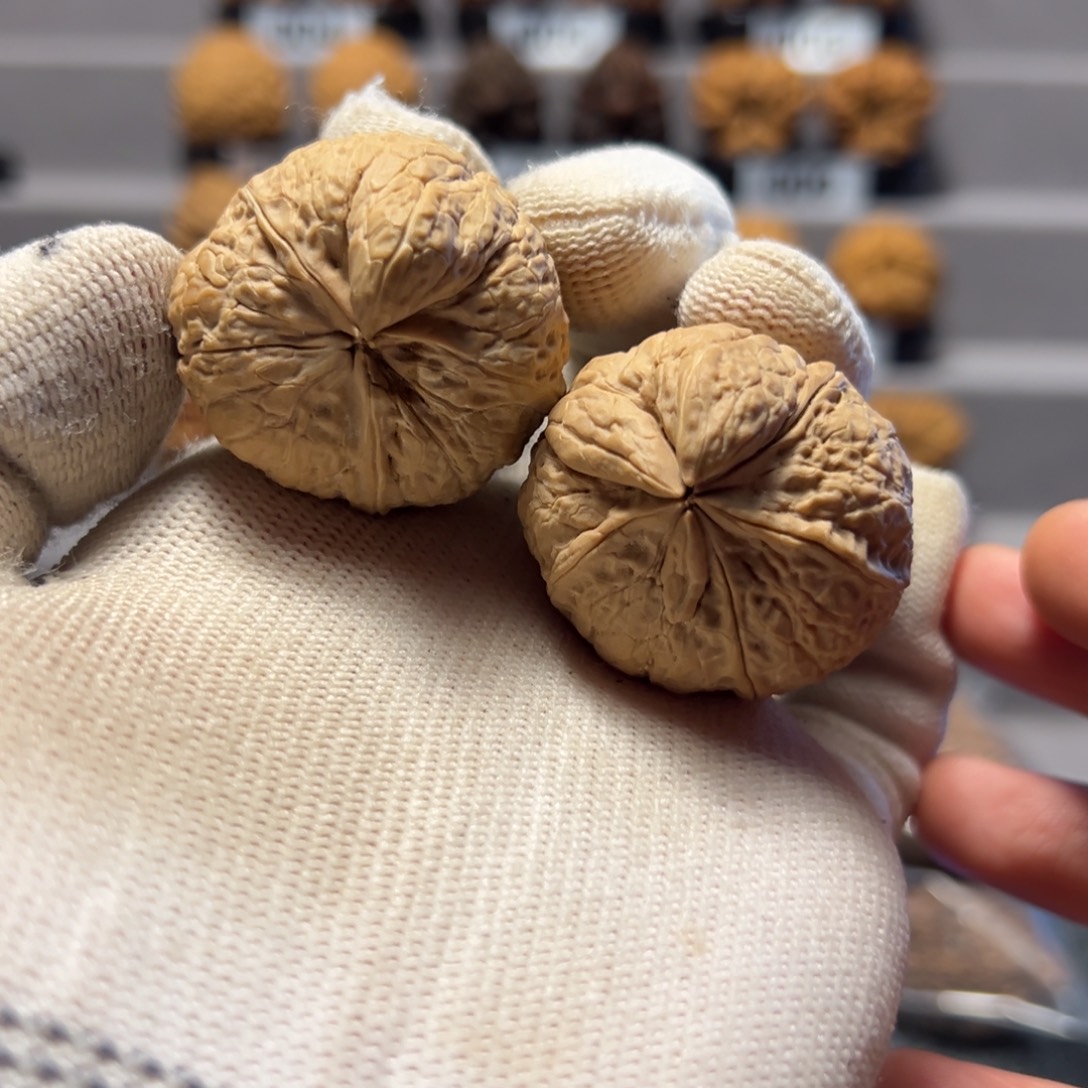 文玩核桃把件云南铁核桃8