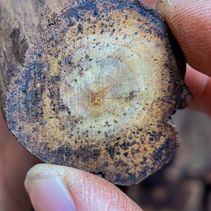 手串/手链降真香定制缅甸小叶降真香
