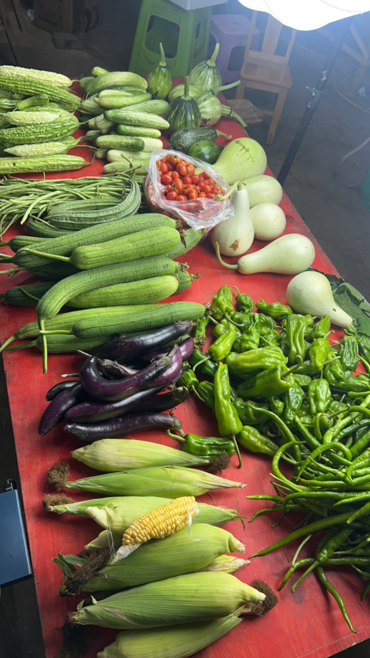 农家新鲜现收蔬菜拼单