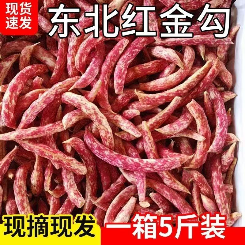 东北秋季头茬红金钩油豆角新鲜现摘豆粒饱满包邮