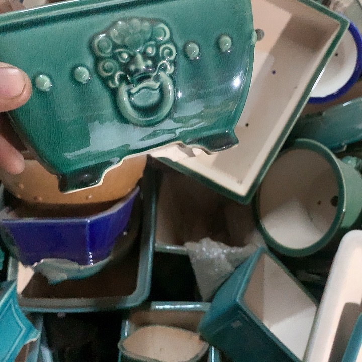 紫砂我要不明天要回家