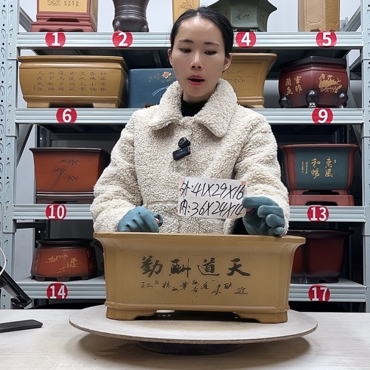 紫砂花盆紫砂花盆