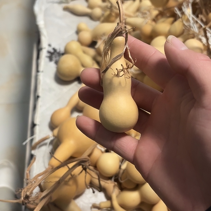 紫***斯合成树脂本捻小葫芦手把件