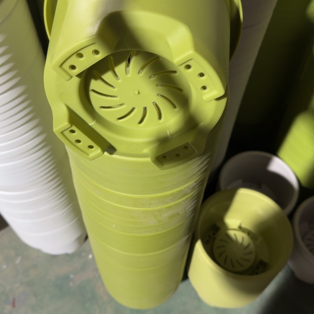 球根2号5个果绿色口径21