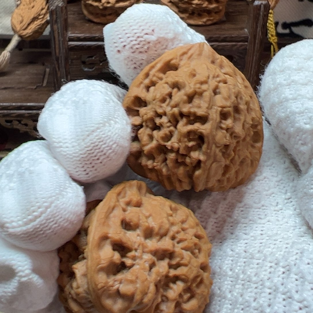 J***y涿鹿县南将石山地果