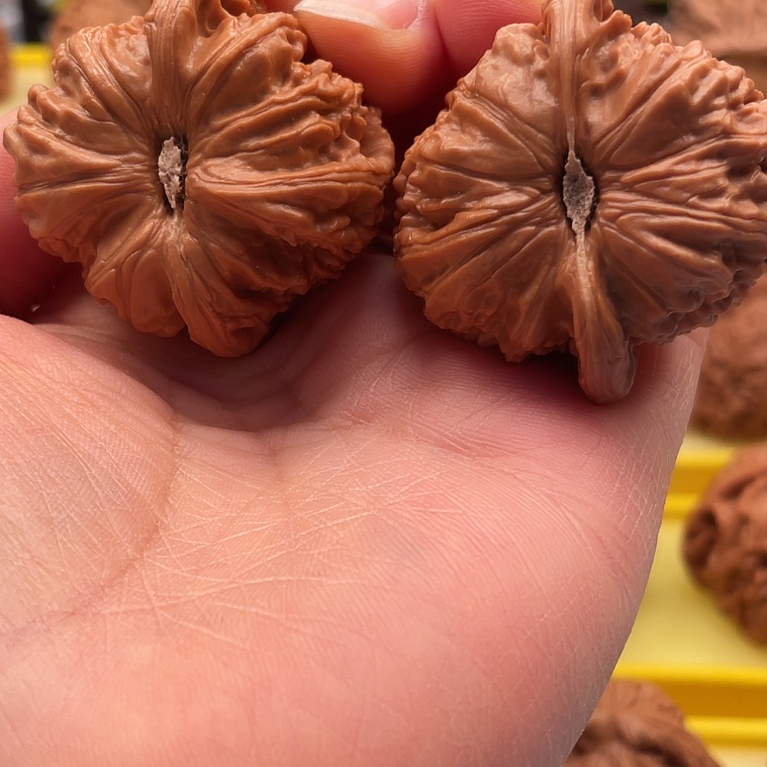 玩***~文玩核桃把件白狮子