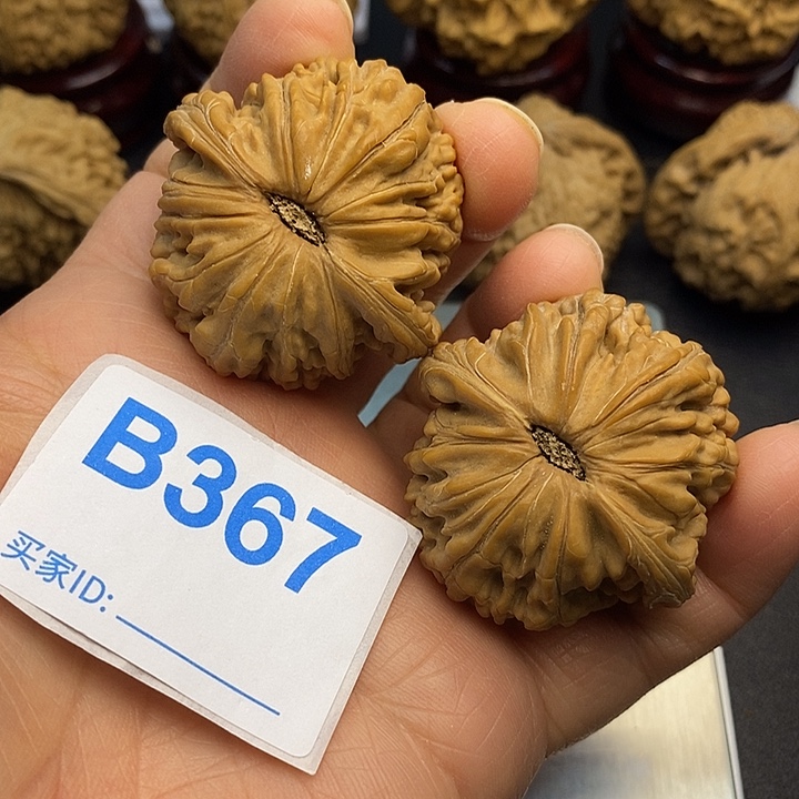 核桃磨盘4.2山地果