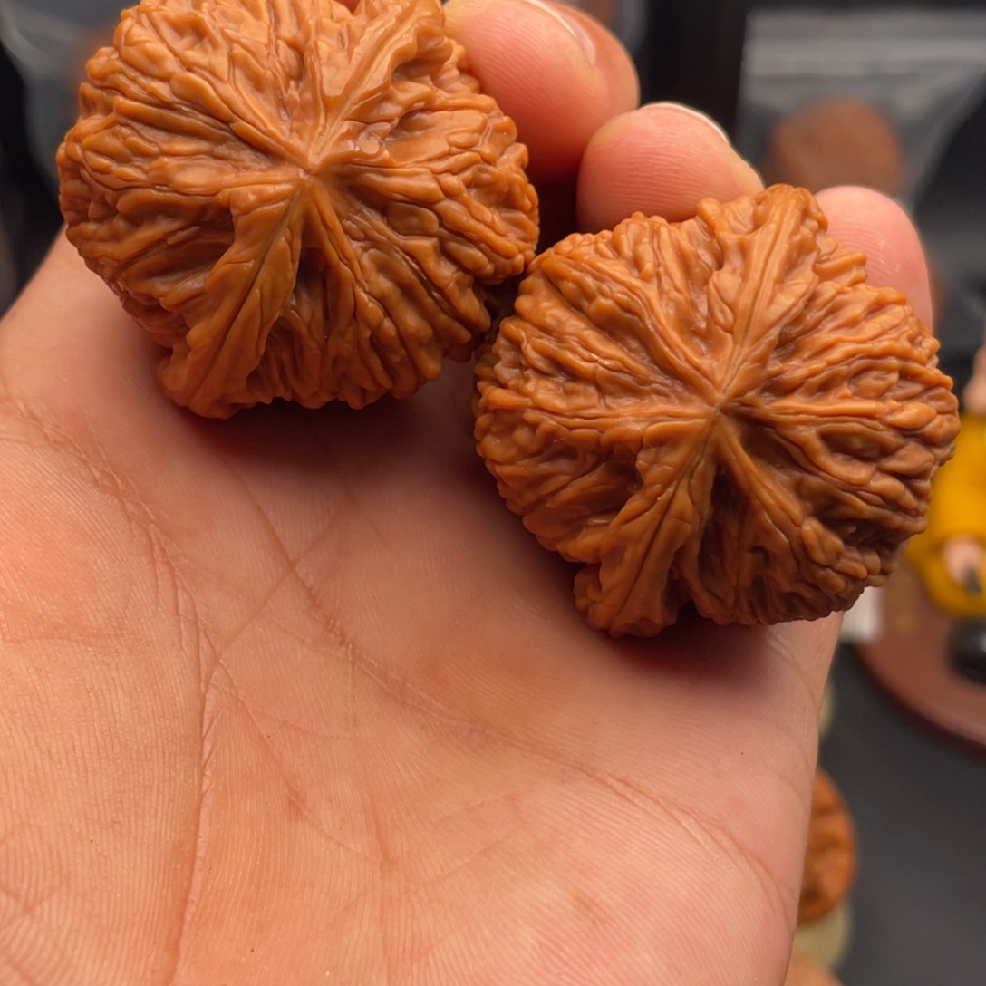 吊坠文玩核桃43全品原树蛟龙