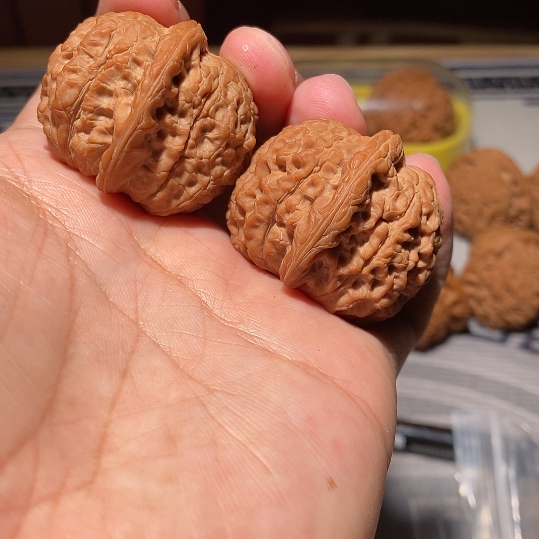 文玩核桃把件015血麒麟40尺全品