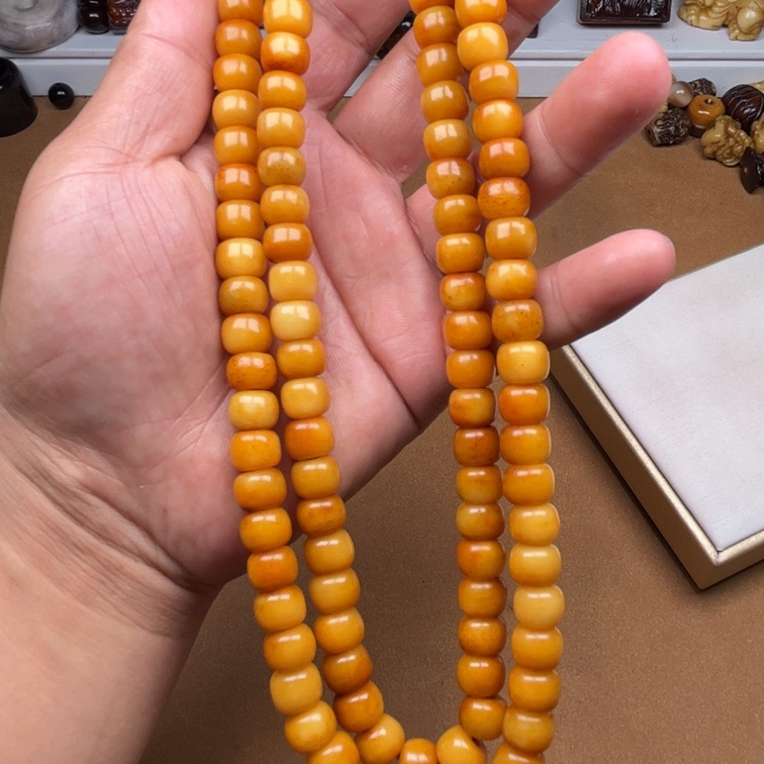 其他驼骨好看又好看又可爱